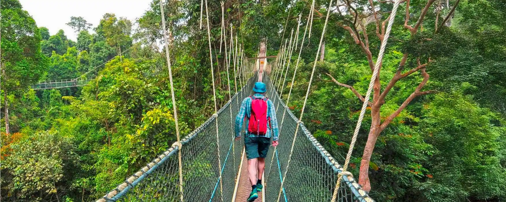 Amazon Tours