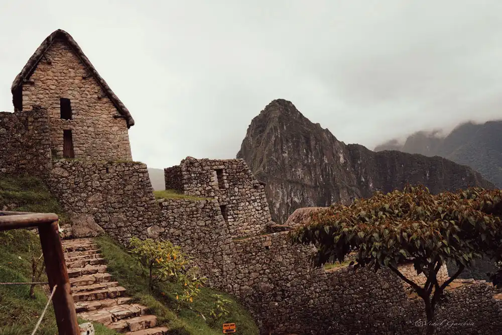Machu Picchu Houses